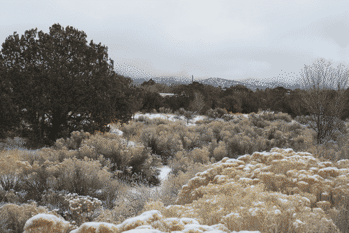 Scrublands covered in sage bushes, dusted with snow, with powdered mountains in the distant fog