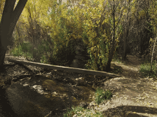 Tiny footbridge that crosses the Santa Fe river behind the Upaya Zen Center