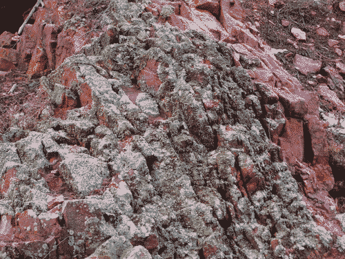 Beautiful mossy rock at Little Teseque