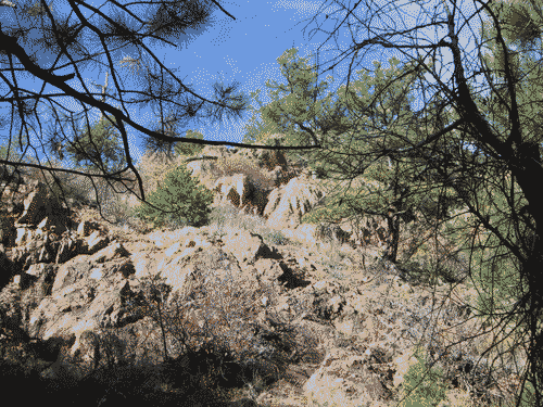 Grand rock face in the sun beyond winter tree branches at Grasshopper Canyon