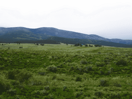 Rolling green fields in front of the mountains at Eagle Nest Lake