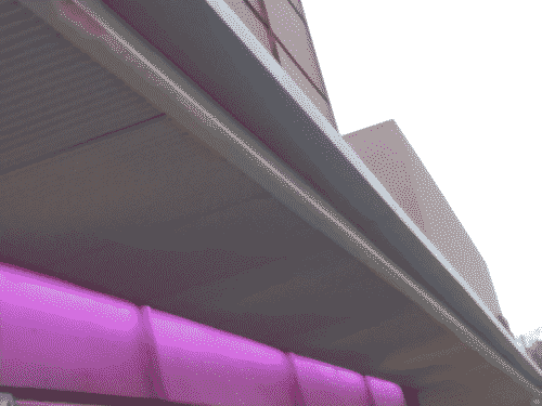 Purple accent lighting of Violet Crown