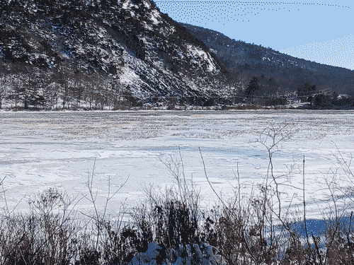Frozen lake at Suir De Mont surrounded by snowy conifer forests