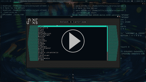 [download the demo video]